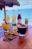 Akumal Escape Beach Access 7 Pools With Ocean View Beach Club - Chambres d'hôtes Akumal