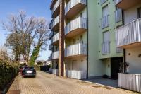 Il Cedro-15 min dalle Mura Wi-Fi private parking - B&B