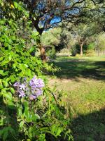 Huis met 1 Slaapkamer