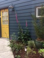 Cozy Alley Cottage, Concordia, Alberta Arts, NE PDX - B&B
