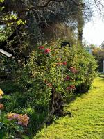 Green Acres Farm Cottage - B&B Ritchie