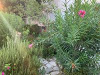 KERYLOS , au cœur de Parikia, avec jardin - B&B Parikia