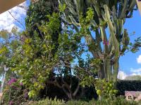 New - MiJa basement Loft Apartment steps from Beach - perfect for Sun and Sport Seekers - B&B Marbella