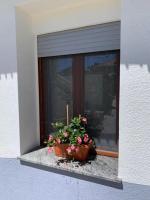 Louis House ad Agerola per Amalfi Positano Pompei - Bed and Breakfast Agerola