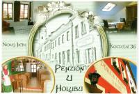Penzion U Holubů Nový Jičín - Bed and Breakfast Nový Jičín