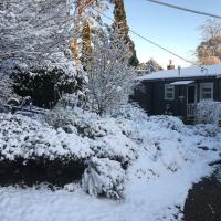 Maisie's Cottage - B&B Mount Victoria