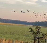Ferienhaus Naturblick - B&B