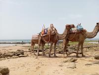 Maison de KAOUKI - B&B Essaouira