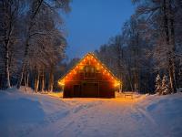 Alaskan Wild Rose Retreat - B&B Talkeetna