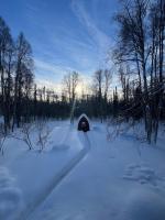 Alaskan Wild Rose Retreat - Bed and Breakfast Talkeetna