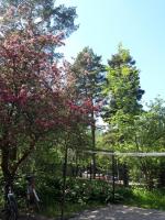 Peaceful studio in Vantaa - B&B Vantaa