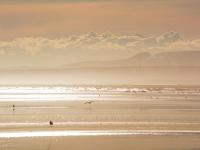 Vue sur les voiliers - B&B Gruissan