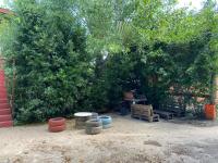 El tala - B&B San Clemente del Tuyú