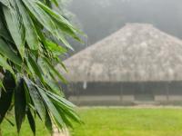 Bamboo Grove - B&B
