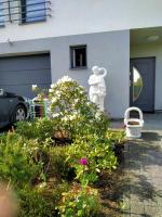 Brzask - B&B Mosty