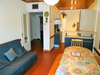 Appartement 8 pers, centre station, proche pistes et animations, balcon sud, parking privé - FR-1-516-5 - B&B