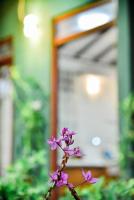 Familienzimmer mit Terrasse