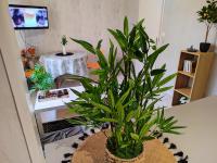 Le Montjoux Appartement Calme-Parking - Ferienwohnung
