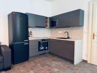 One-Bedroom Premier Apartment