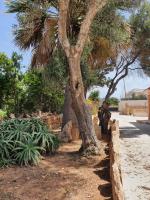 Villa Migliore - Chambres d’hôtes Lampedusa