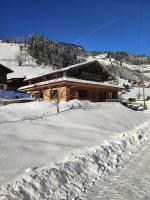 Ferienwohnung Frauenkogelblick mit Terrasse am Bauernhof - Bed and Breakfast Grossarl