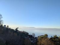 Berges du Léman-cœur de Thonon - Ferienwohnung Thonon-les-Bains