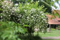 Sophienhof Achternholt - Bed and Breakfast Wardenburg