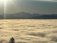 Grand Chalet d'Architecte - B&B Saint-Cergue