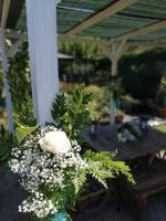 B & EAT IL BORGO - Bed and Breakfast Vado Ligure