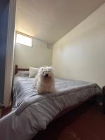 Hostal Duchantu - B&B