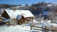 Zagroda Magija Bieszczady - Ferienwohnung Orelec