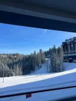 Privatni Apartman RIO DELUXE A1-8 u sklopu HOTEL VUČKO JAHORINA - B&B