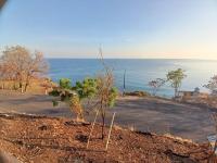 DejaVu Coffee and Homestay - Bed and Breakfast