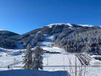 Apartman 8 Panorama sa garažom - B&B Bjelašnica