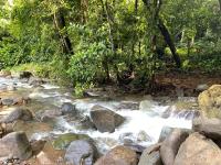 Private room in nature - Chambres d’hôtes Coronado