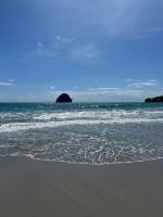 Palme bleue t3 au diamant - B&B Le Diamant