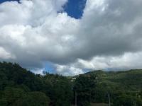 Palme bleue t3 au diamant - B&B Le Diamant