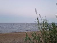 Charmant Appartement à St Aygulf - B&B Fréjus