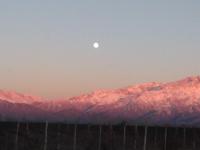 La Bodeguita y El Bodegón Casa Tika - B&B La Consulta
