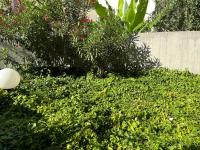 Breeze in the city - Chambres d’hôtes Lyon