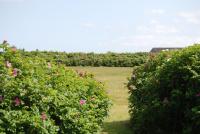 Haus Pamir 8 App 8 - B&B Wenningstedt
