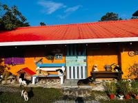 貓天空寵物友善民宿 - B&B Xiangjiaowan