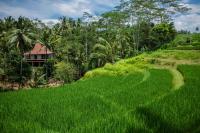 Be Bali Stay - Chambres d’hôtes Ubud