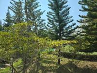 Private Condo Middle in Khaoyai for 2-4 People & Family - Bed and Breakfast Pak Chong