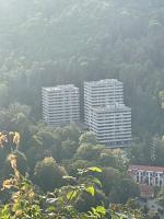 Apartment Bellevue Bad Harzburg - Chambres d’hôtes Bad Harzburg