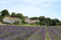 Les Ânes de Forcalquier - Bed and Breakfast
