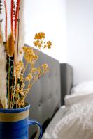 Apartment mit 2 Schlafzimmern