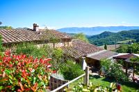 Lionforti Da Vico - Ferienwohnung Greve in Chianti