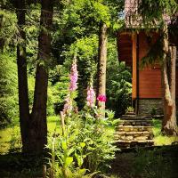 Domek Górski Promyk,Wisła - B&B Wisła