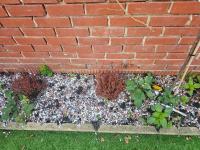 A Home Away From Home - B&B Londres